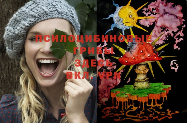 PSILOCYBIN Алзамай